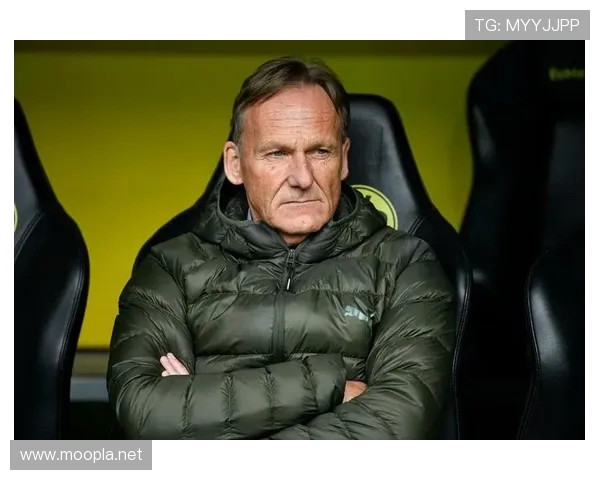 瓦茨克谈维尔茨转会称拒拜仁令德甲遗憾但国家队核心地位稳固